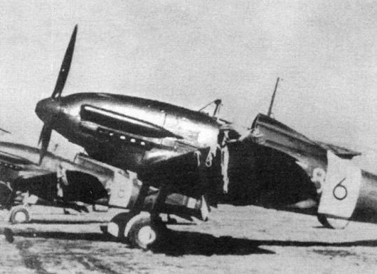 Иллюстрация к книге — Итальянские истребители Reggiane во Второй мировой войне [pic_81.jpg]