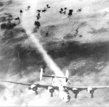 Иллюстрация к книге — B-24 Liberator [pic_231.jpg]