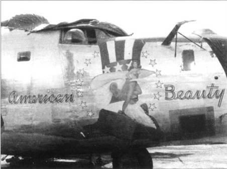 Иллюстрация к книге — B-24 Liberator [pic_251.jpg]