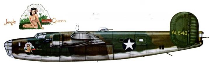 Иллюстрация к книге — B-24 Liberator [pic_295.jpg]