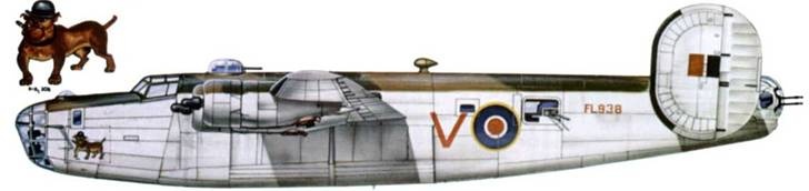 Иллюстрация к книге — B-24 Liberator [pic_298.jpg]