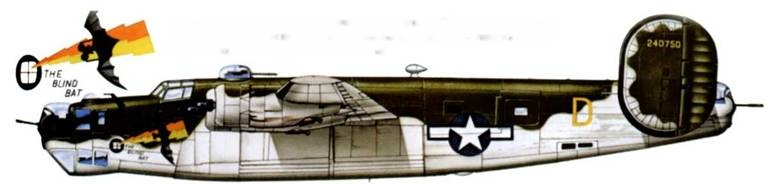 Иллюстрация к книге — B-24 Liberator [pic_300.jpg]