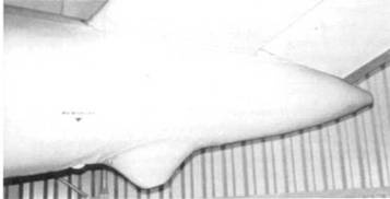 Иллюстрация к книге — Не 162 Volksjager [pic_158.jpg]