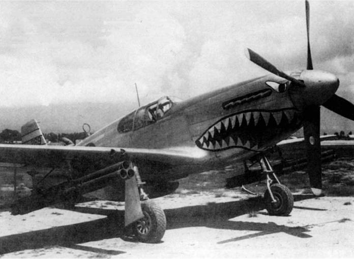 Иллюстрация к книге — Р-51 «Мустанг» [pic_100.jpg]