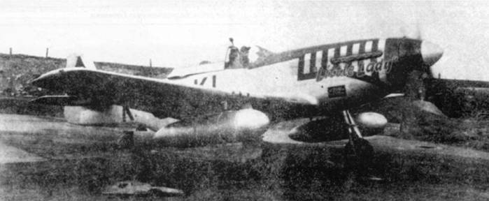 Иллюстрация к книге — Р-51 «Мустанг» [pic_156.jpg]