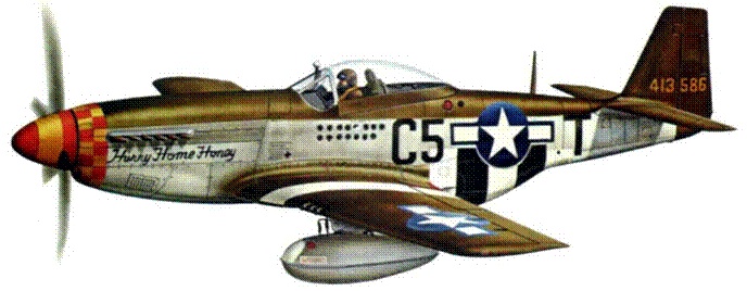 Иллюстрация к книге — Р-51 «Мустанг» [pic_211.jpg]