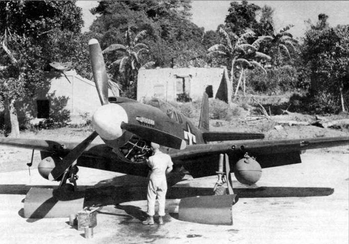 Иллюстрация к книге — Р-51 «Мустанг» [pic_57.jpg]