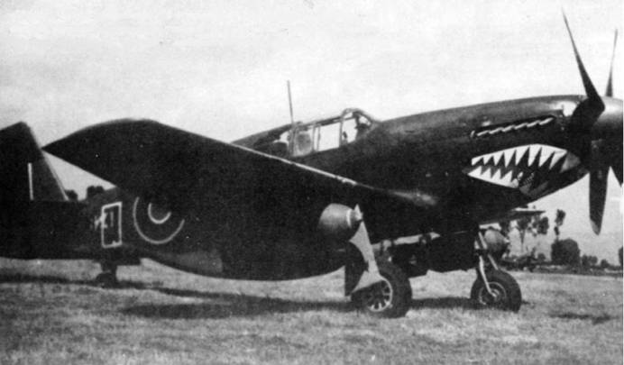 Иллюстрация к книге — Р-51 «Мустанг» [pic_93.jpg]