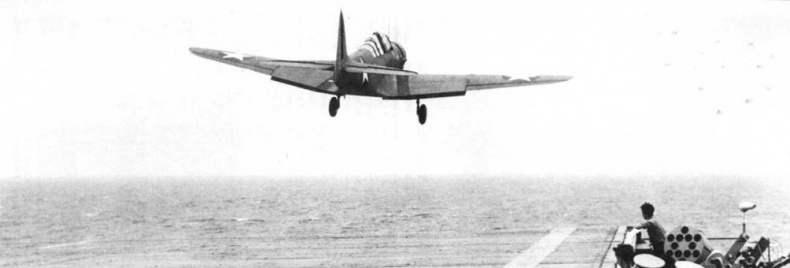 Иллюстрация к книге — TBD «Devastator» [pic_113.jpg]