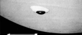 Иллюстрация к книге — У-2 / По-2 [pic_166.jpg]