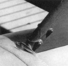 Иллюстрация к книге — У-2 / По-2 [pic_209.jpg]