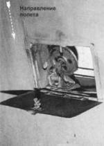 Иллюстрация к книге — У-2 / По-2 [pic_291.jpg]