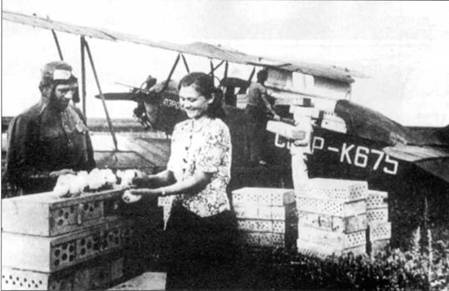 Иллюстрация к книге — У-2 / По-2 [pic_60.jpg]