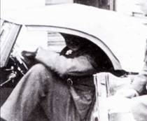 Иллюстрация к книге — Истребители Люфтваффе в небе СССР. Операция «Барбаросса» июнь – декабрь 1941 г. [pic_139.jpg]