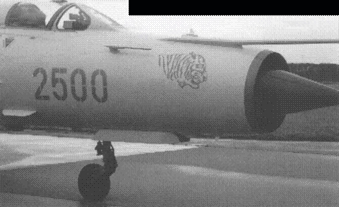 Иллюстрация к книге — МиГ-21. Особенности модификаций и детали конструкции. Часть 2 [pic_183.jpg]