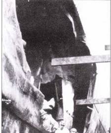 Иллюстрация к книге — Линкоры США. Часть 2 [pic_5.jpg]