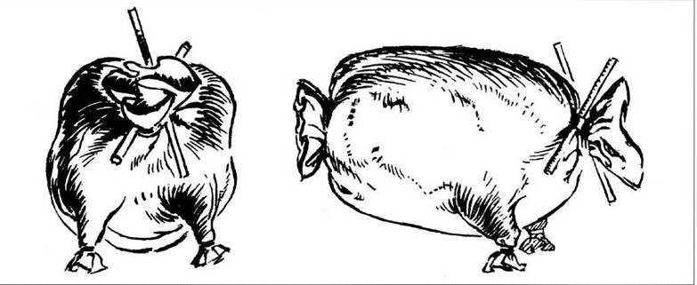 Иллюстрация к книге — Боевые корабли древнего Китая, 200 г. до н.э. — 1413 г. н.э. [pic_13.jpg]