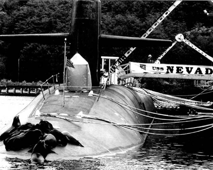 Иллюстрация к книге — Субмарины США «OHIO» [pic_167.jpg]