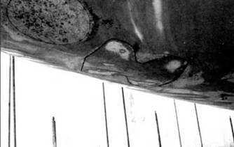 Иллюстрация к книге — Субмарины США «OHIO» [pic_47.jpg]