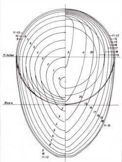 Иллюстрация к книге — Германские субмарины Тип XVII Крупным планом [pic_22.jpg]