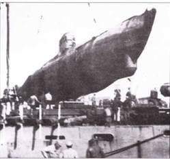 Иллюстрация к книге — Германские субмарины Тип XVII Крупным планом [pic_90.jpg]