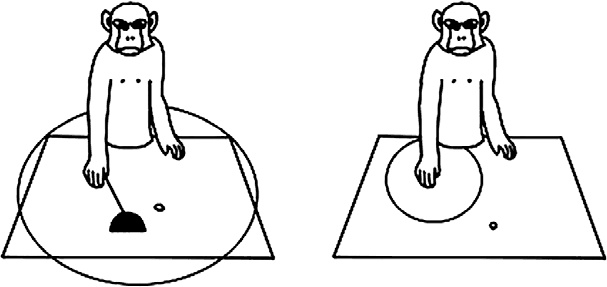 Иллюстрация к книге — Чертоги разума. Убей в себе идиота! [i_001.jpg]