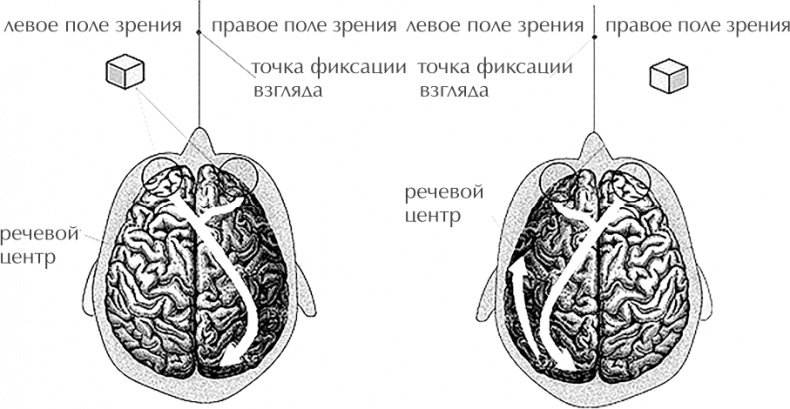Иллюстрация к книге — Чертоги разума. Убей в себе идиота! [i_005.jpg]