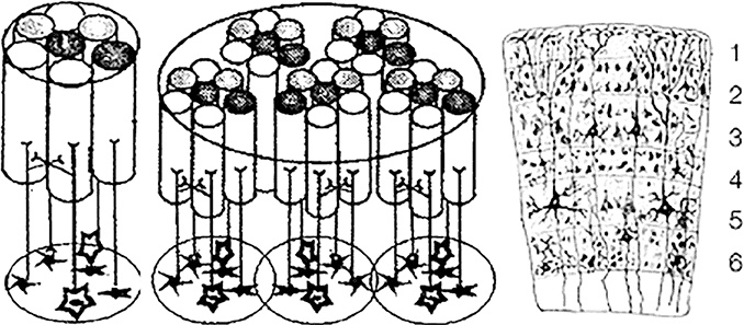 Иллюстрация к книге — Чертоги разума. Убей в себе идиота! [i_011.jpg]