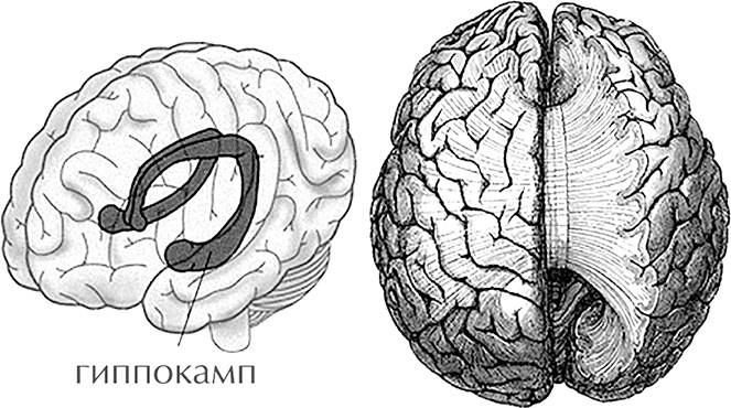 Иллюстрация к книге — Чертоги разума. Убей в себе идиота! [i_013.jpg]