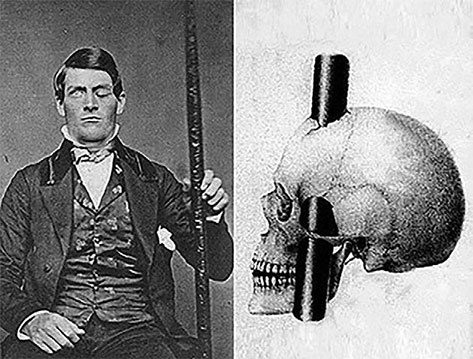 Иллюстрация к книге — Чертоги разума. Убей в себе идиота! [i_014.jpg]