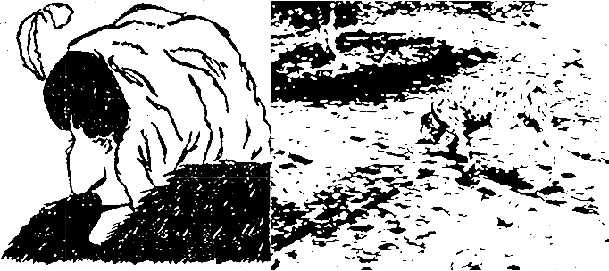 Иллюстрация к книге — Чертоги разума. Убей в себе идиота! [i_015.jpg]