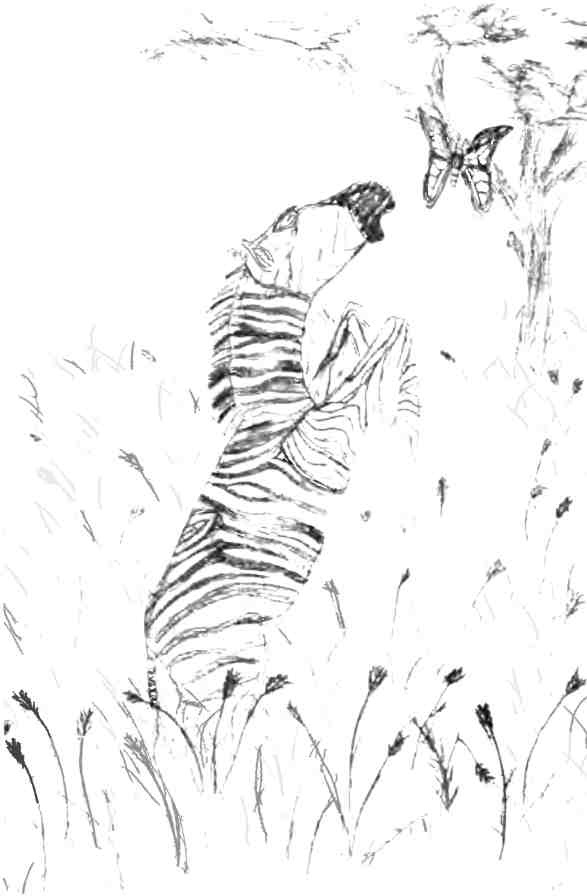 Иллюстрация к книге — Бесконечное число самых прекрасных форм [img_1.jpg]