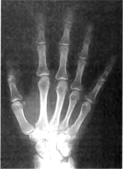 Иллюстрация к книге — Бесконечное число самых прекрасных форм [img_6.jpg]