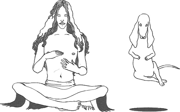 Иллюстрация к книге — Смерть и приключения Ефросиньи Прекрасной [i_059.jpg]