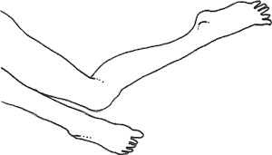 Иллюстрация к книге — Смерть и приключения Ефросиньи Прекрасной [i_085.jpg]