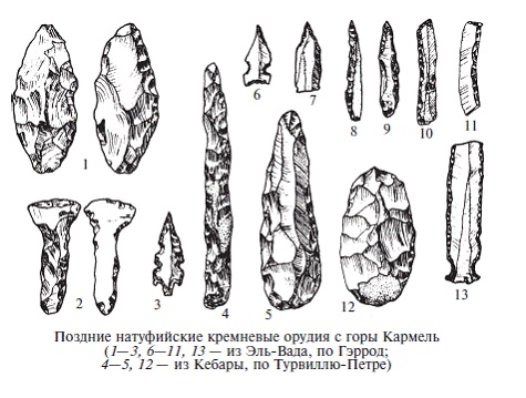Иллюстрация к книге — Палестина до древних евреев [pic_23.jpg]