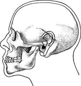 Иллюстрация к книге — Палестина до древних евреев [pic_24.jpg]