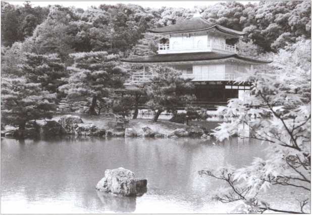 Иллюстрация к книге — &quot;Черный пояс&quot; без грифа секретности [i_017.jpg]