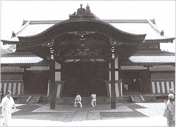 Иллюстрация к книге — &quot;Черный пояс&quot; без грифа секретности [i_021.jpg]