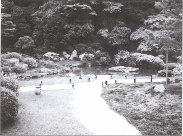 Иллюстрация к книге — &quot;Черный пояс&quot; без грифа секретности [i_029.jpg]