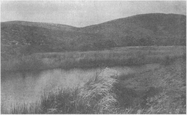 Иллюстрация к книге — Архаическая Спарта. Искусство и политика [img_125.jpg]