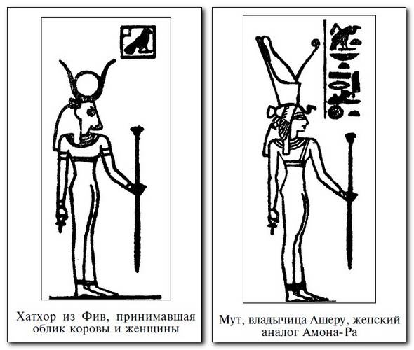 Иллюстрация к книге — Египет времен Тутанхамона [i_056.jpg]