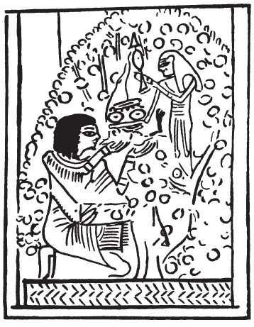 Иллюстрация к книге — Магия Древнего Египта. Тайны Книги мертвых [i_044.jpg]