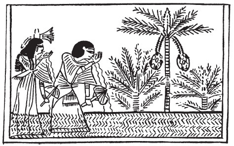 Иллюстрация к книге — Магия Древнего Египта. Тайны Книги мертвых [i_045.jpg]