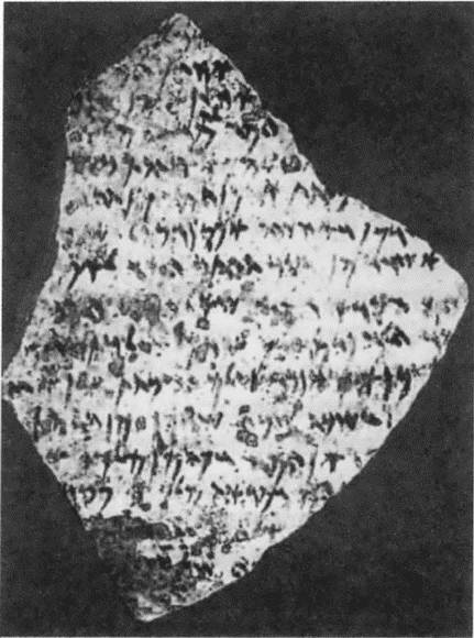 Иллюстрация к книге — Навуходоносор II [i_051.jpg]