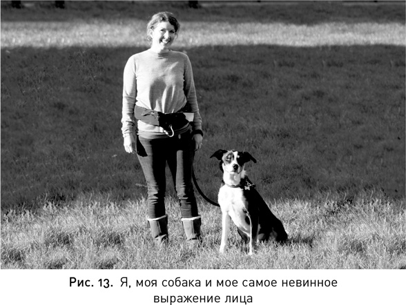 Иллюстрация к книге — Мой продуктивный мозг. Как я проверила на себе лучшие методики саморазвития и что из этого вышло [i_017.jpg]