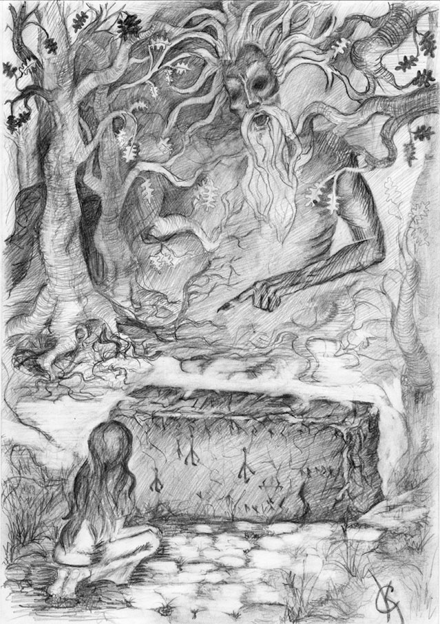 Иллюстрация к книге — Яга [i_001.jpg]