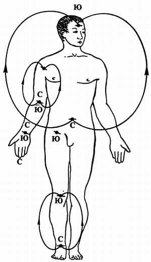 Иллюстрация к книге — Корни китайского цигун. Секреты успешной практики [_13.jpg]