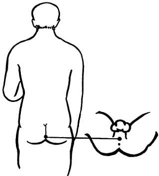 Иллюстрация к книге — Корни китайского цигун. Секреты успешной практики [_15.jpg]