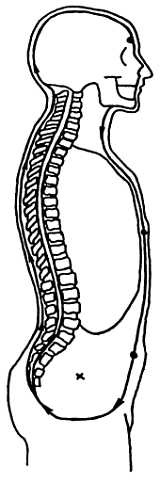 Иллюстрация к книге — Корни китайского цигун. Секреты успешной практики [_16.jpg]